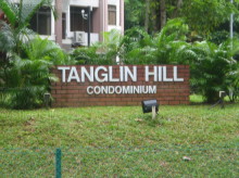 Tanglin Hill Condominium #968272
